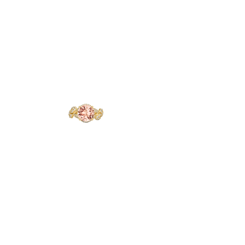 Ring on Hand