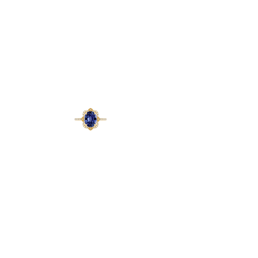 Ring on Hand