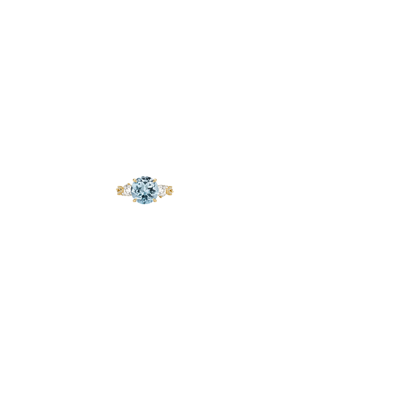 Ring on Hand