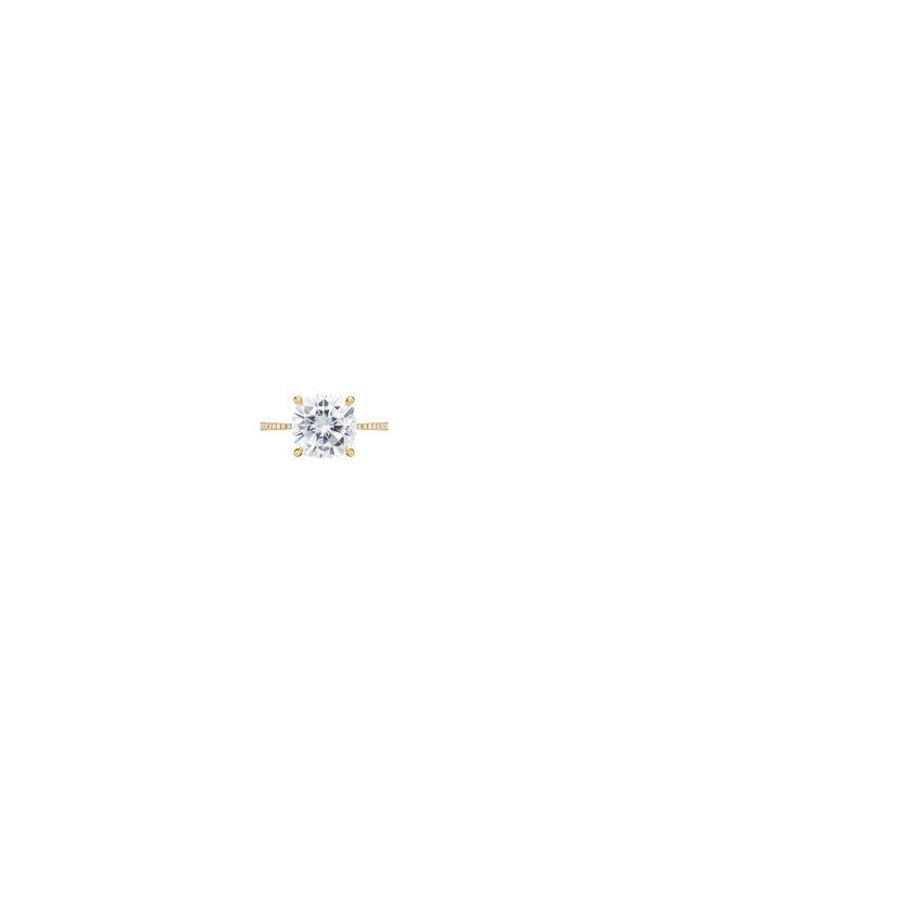 Ring on Hand