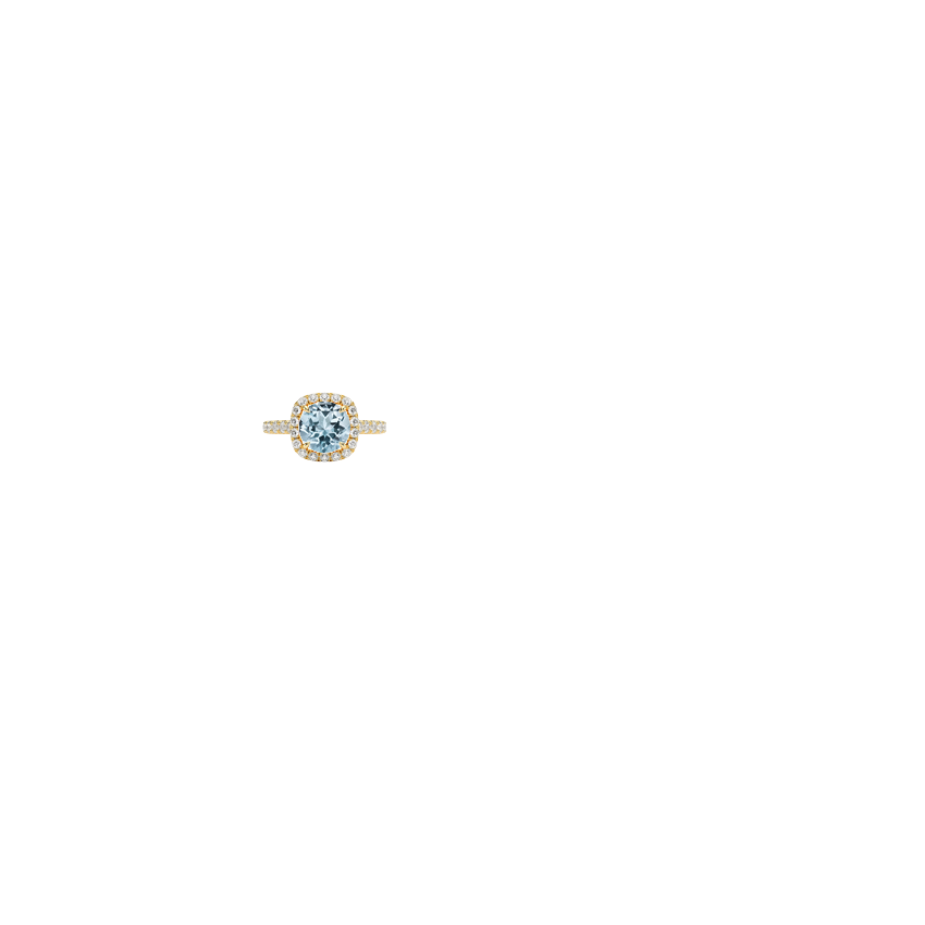 Ring on Hand