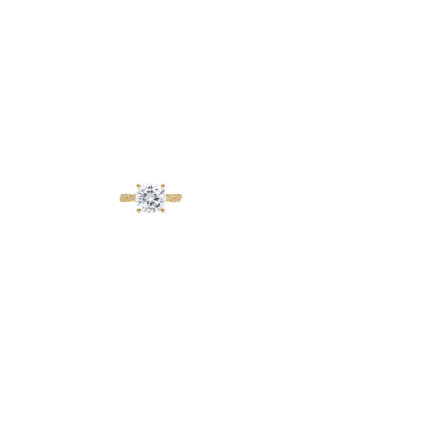 Ring on Hand