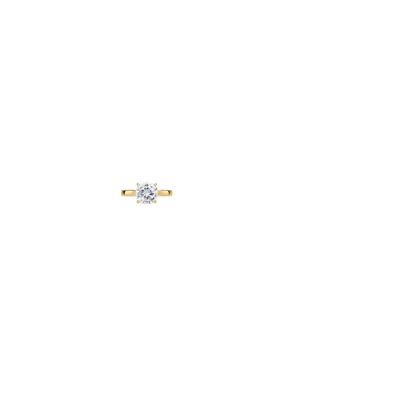 Ring on Hand