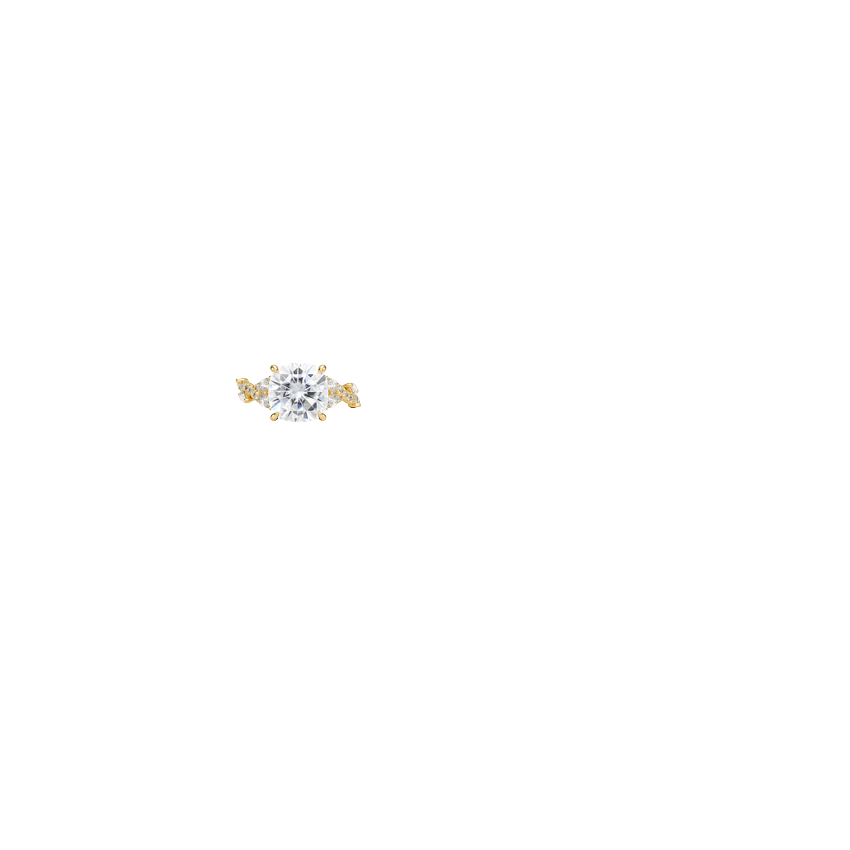 Ring on Hand