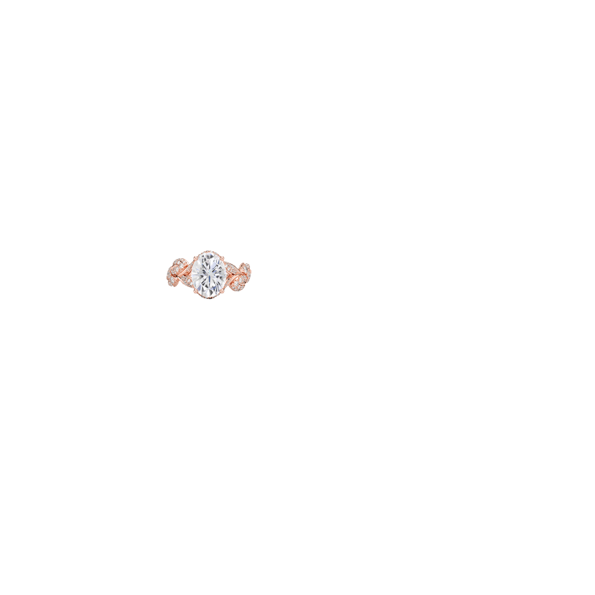 Ring on Hand