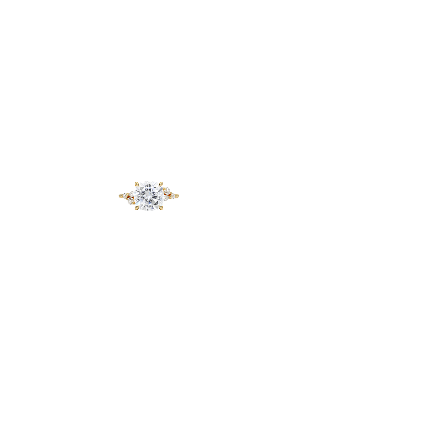Ring on Hand