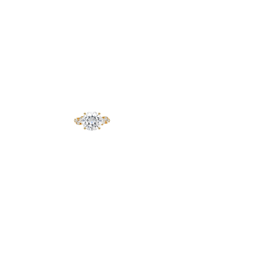 Ring on Hand