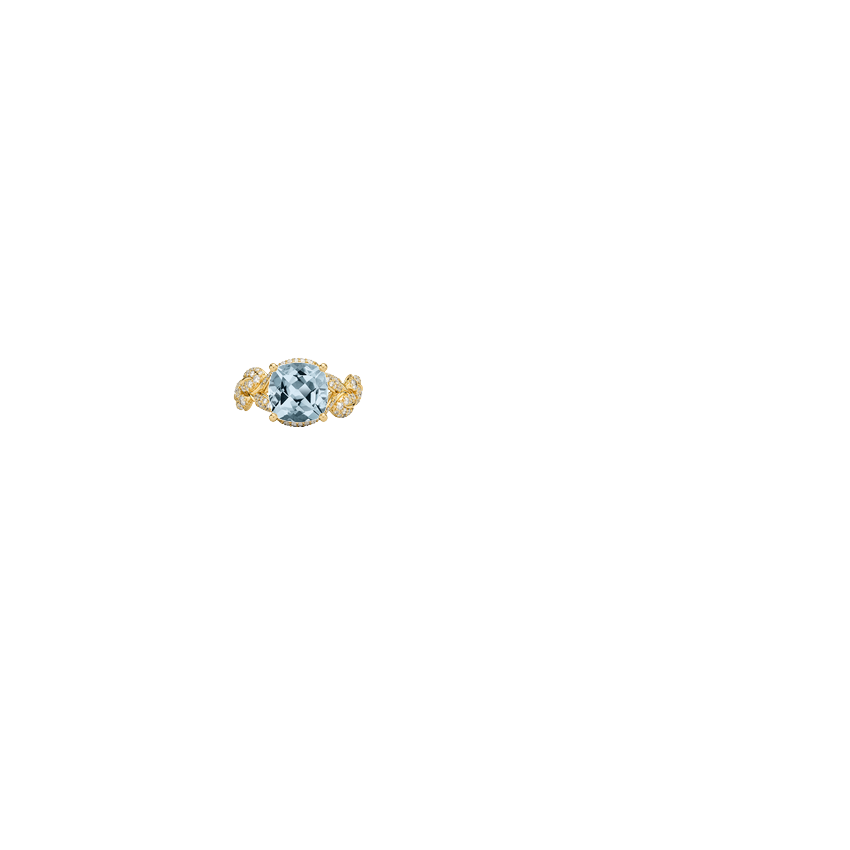 Ring on Hand