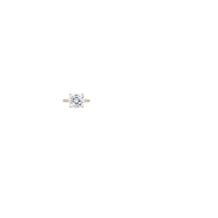 Ring on Hand