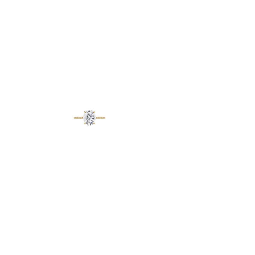Ring on Hand