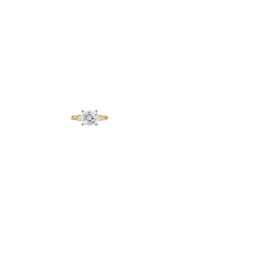 Ring on Hand