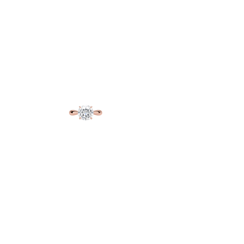 Ring on Hand