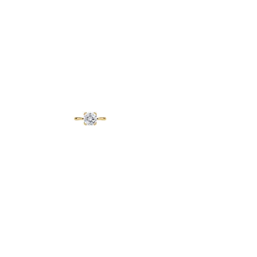 Ring on Hand