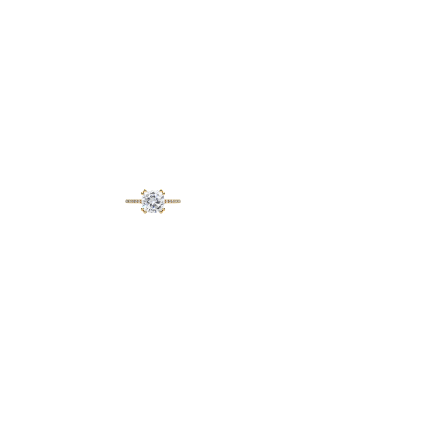 Ring on Hand