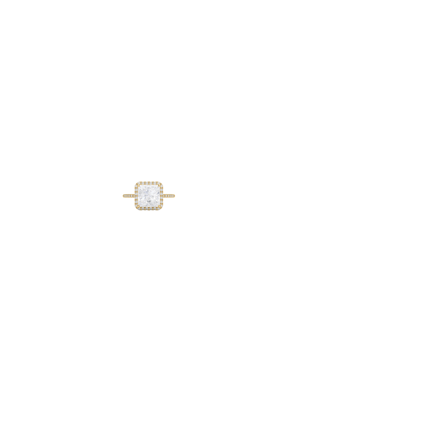 Ring on Hand