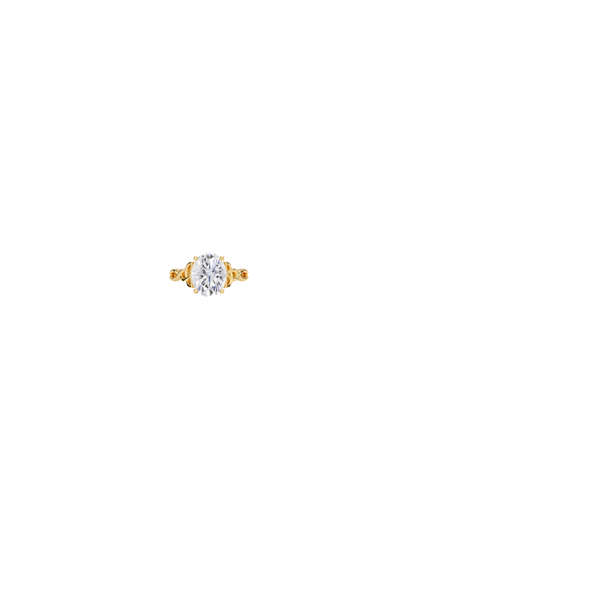 Ring on Hand