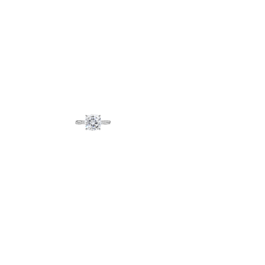 Ring on Hand