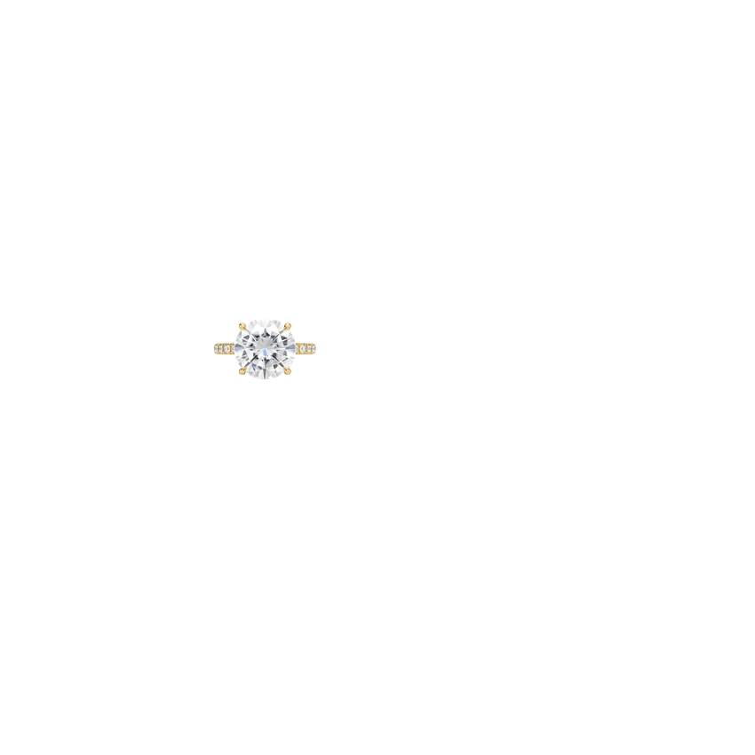 Ring on Hand