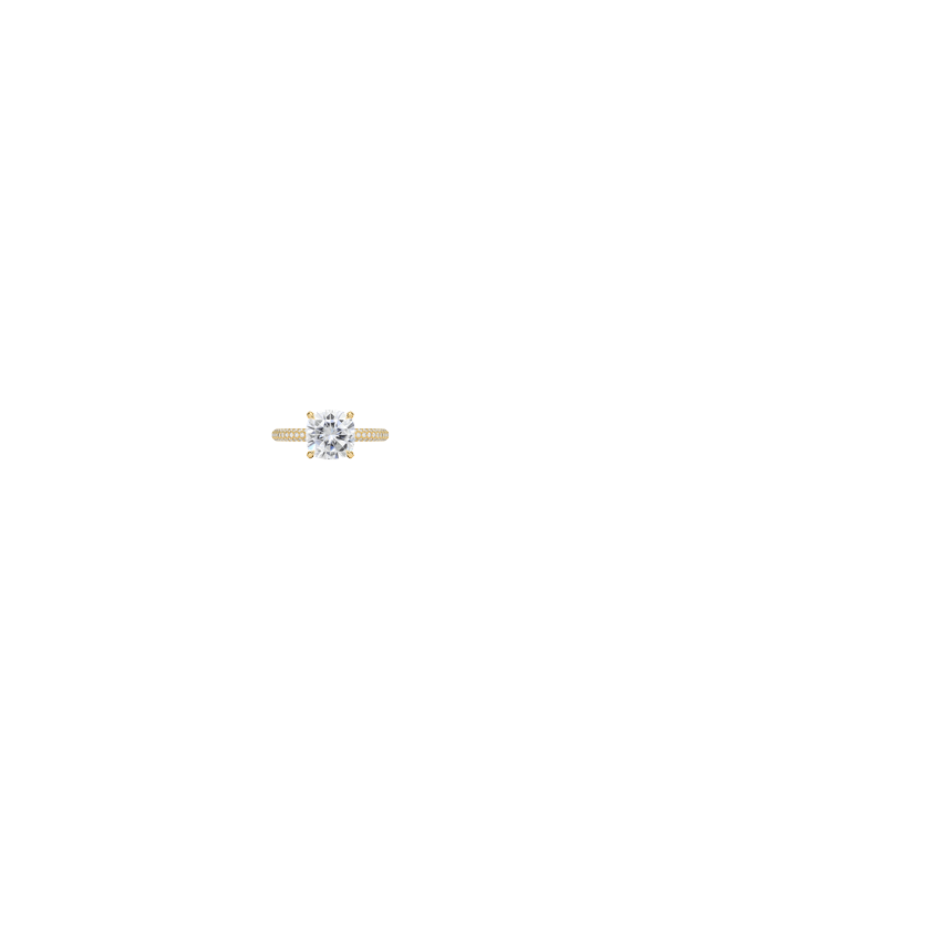 Ring on Hand