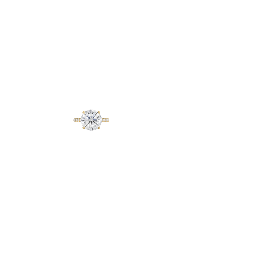 Ring on Hand