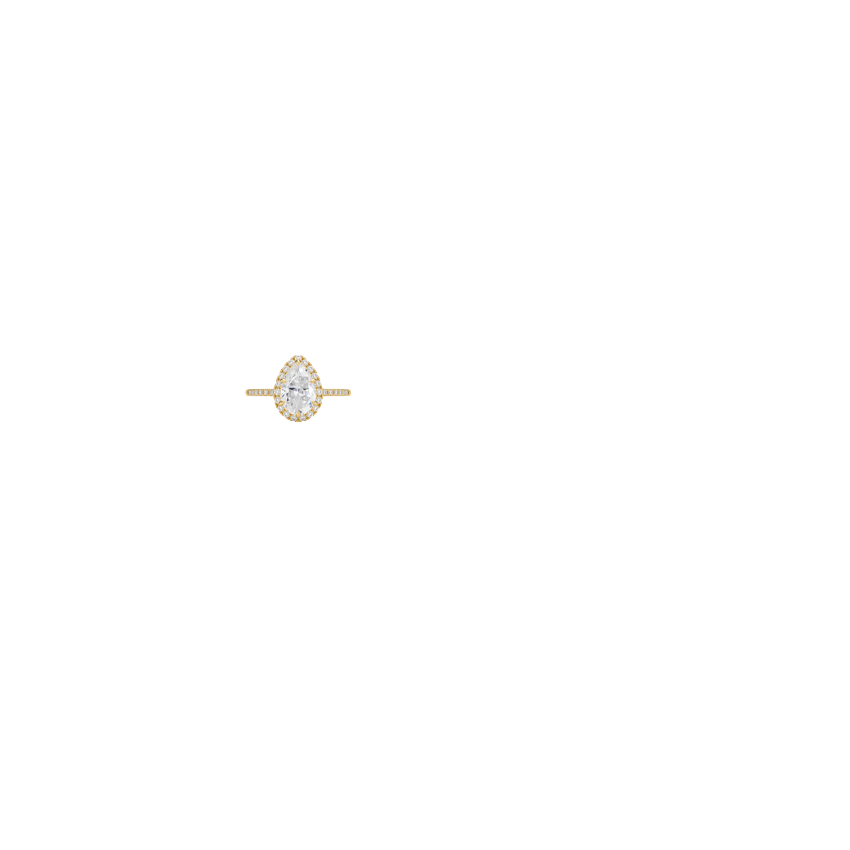 Ring on Hand