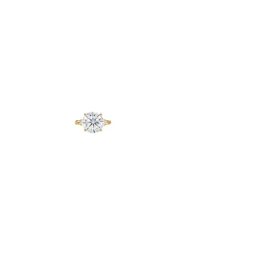 Ring on Hand