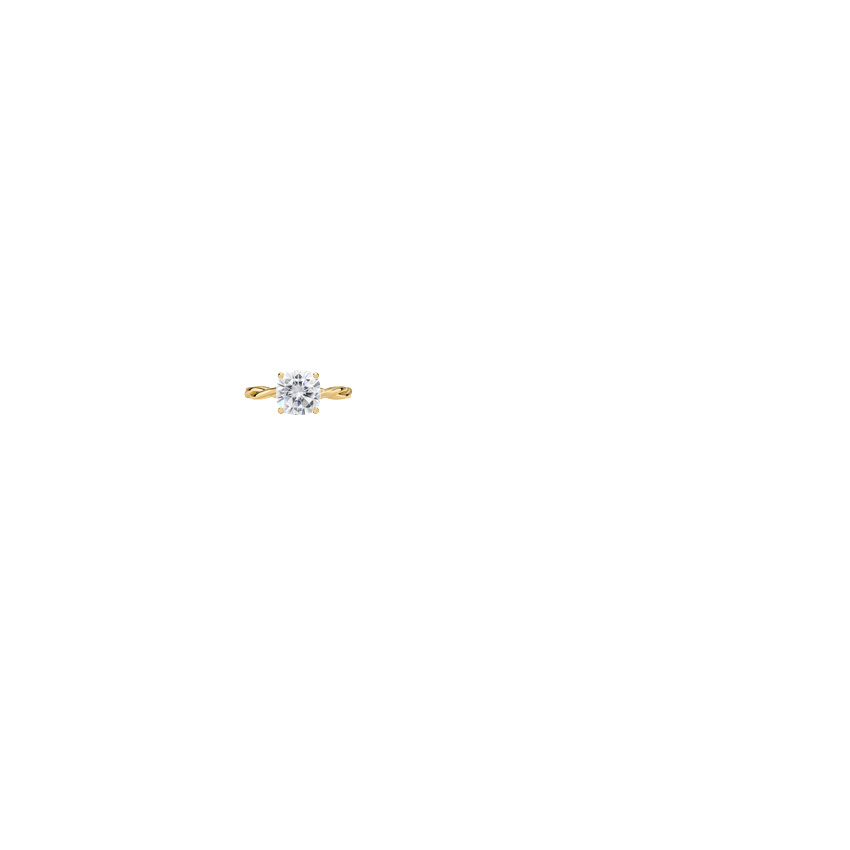 Ring on Hand