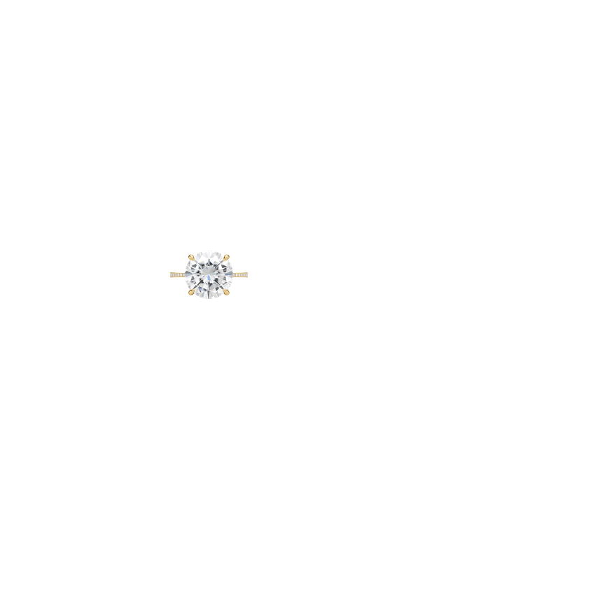 Ring on Hand