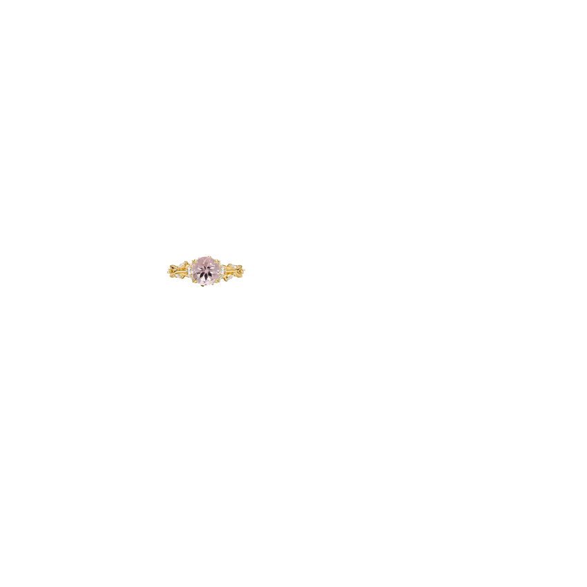 Ring on Hand