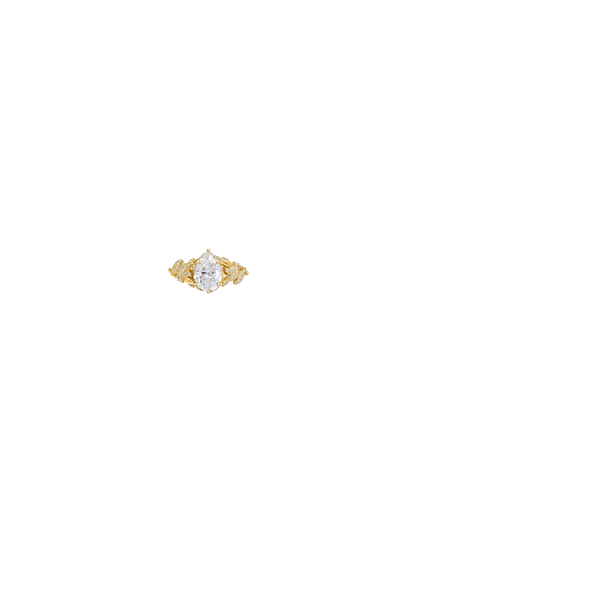 Ring on Hand