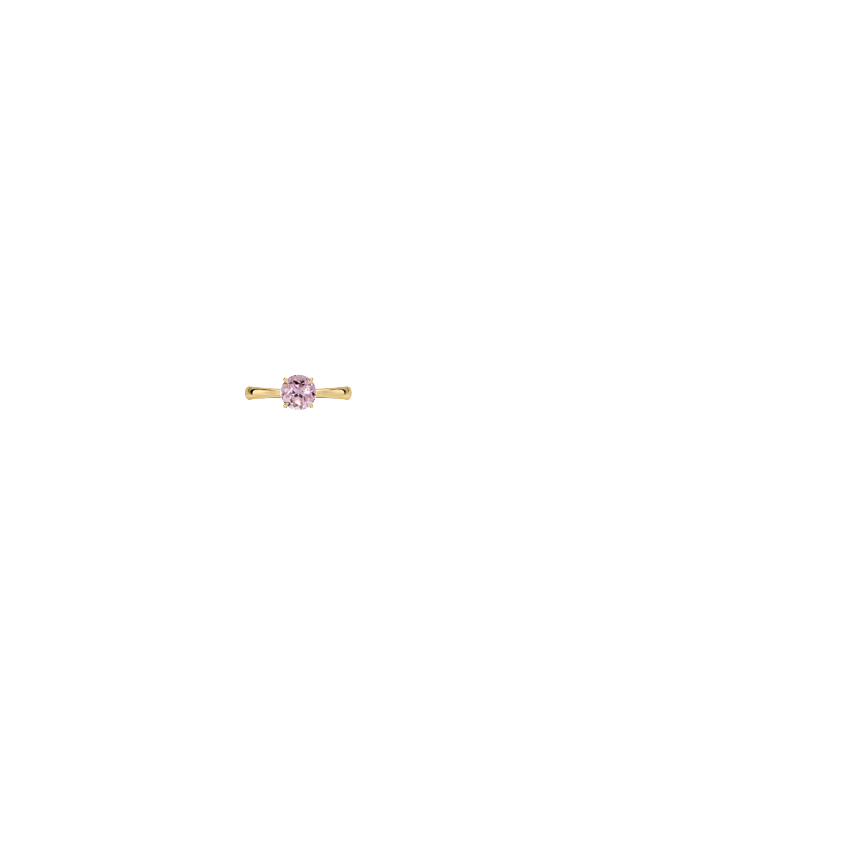 Ring on Hand