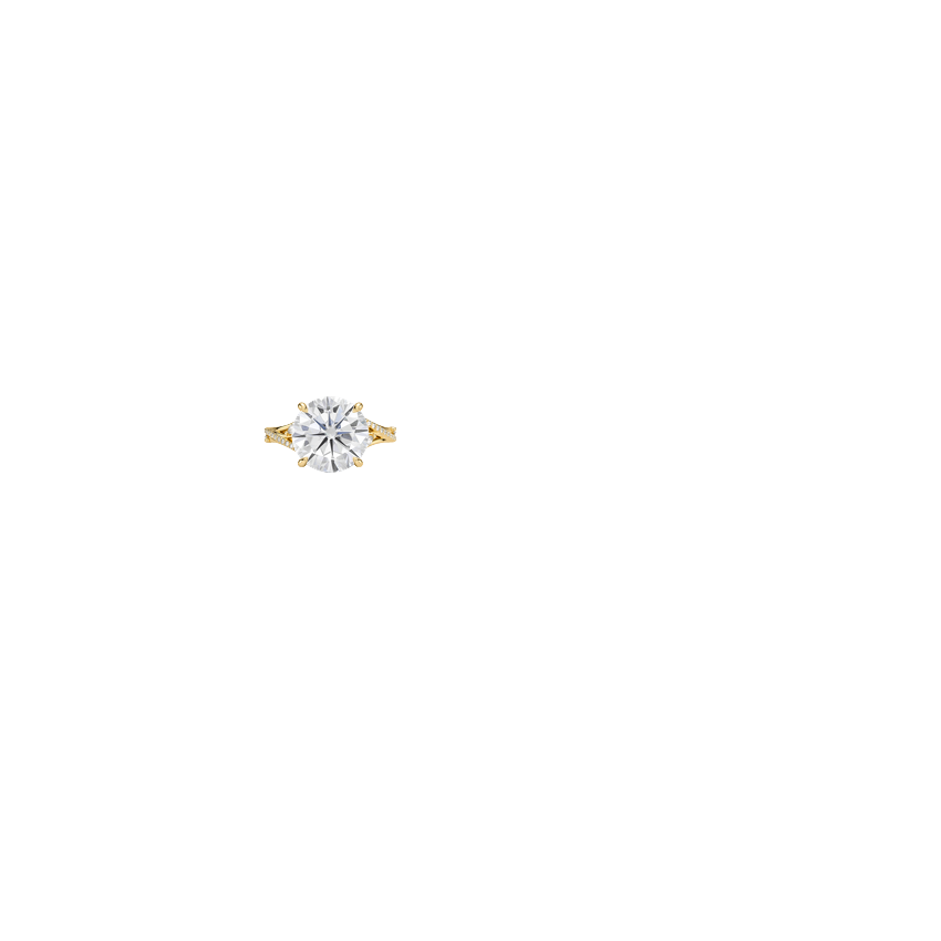 Ring on Hand