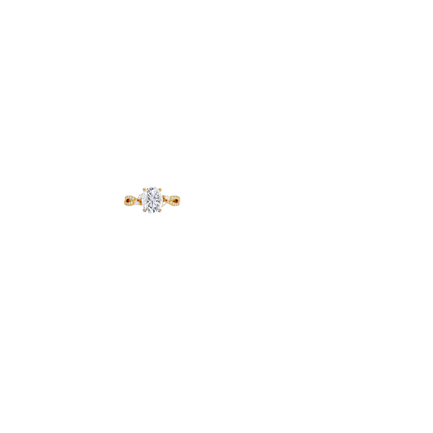 Ring on Hand