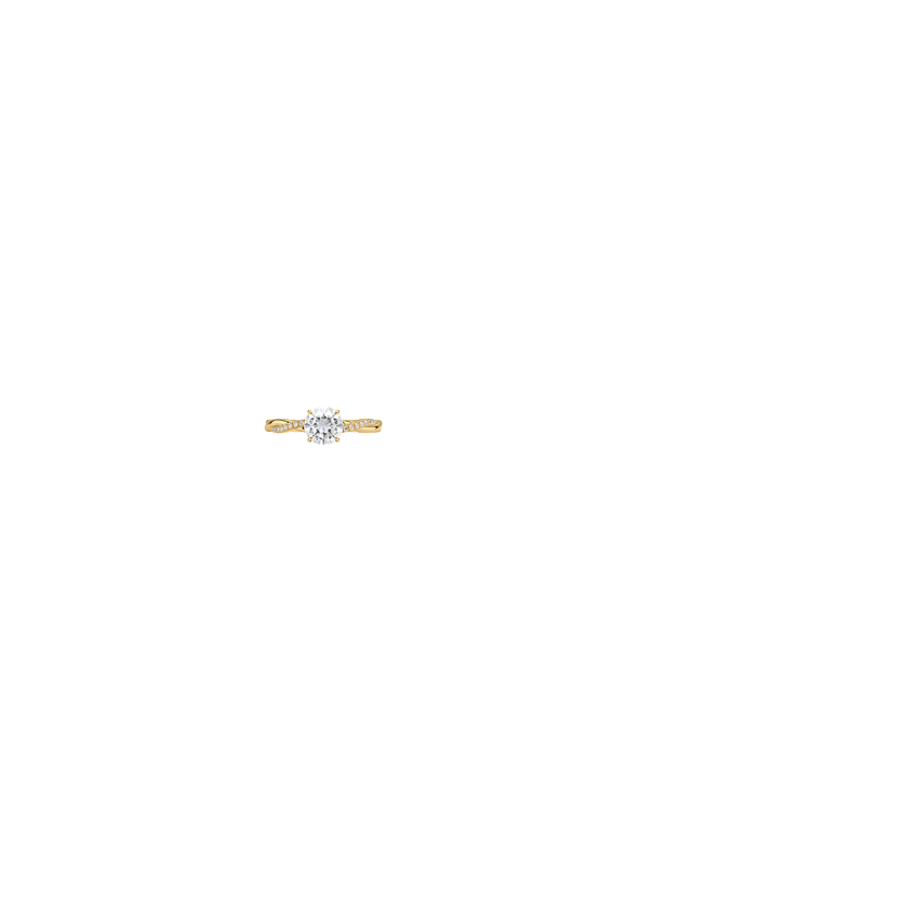 Ring on Hand
