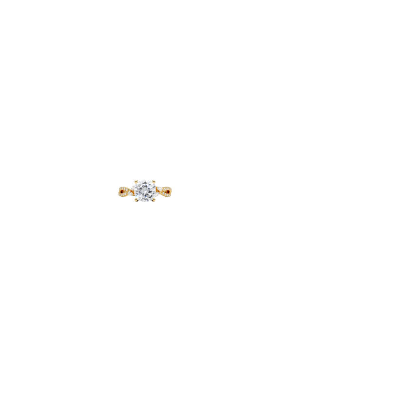 Ring on Hand