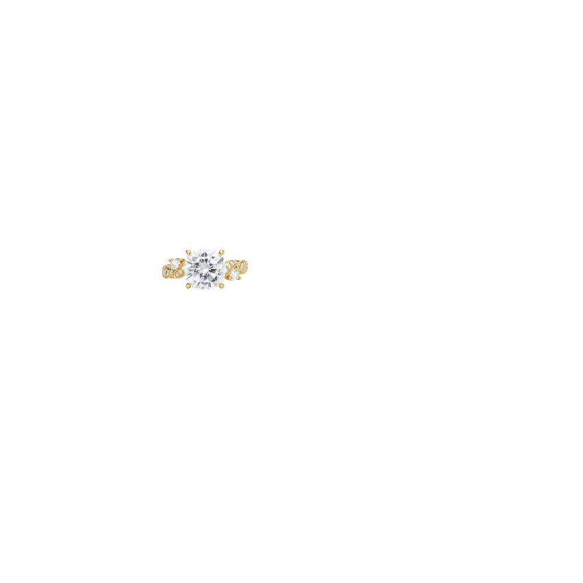 Ring on Hand