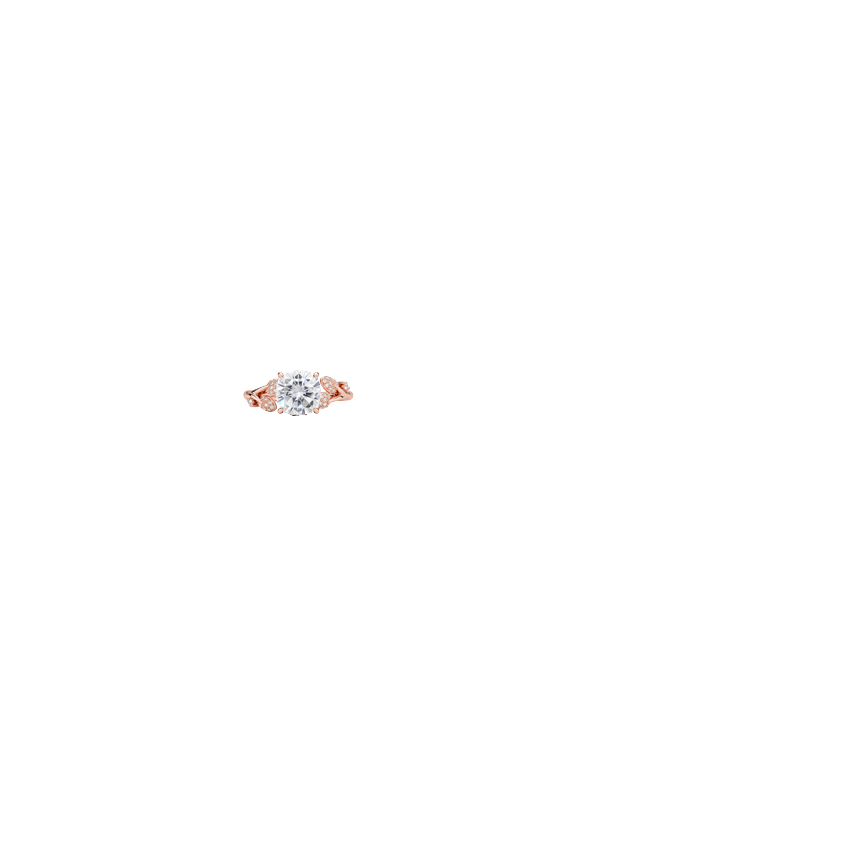 Ring on Hand