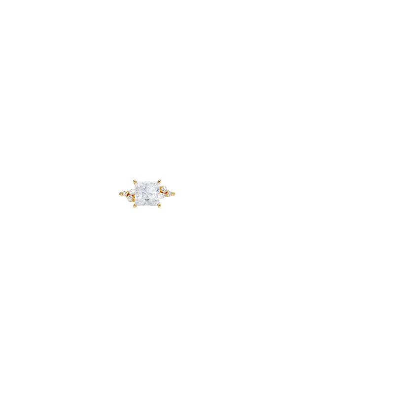 Ring on Hand