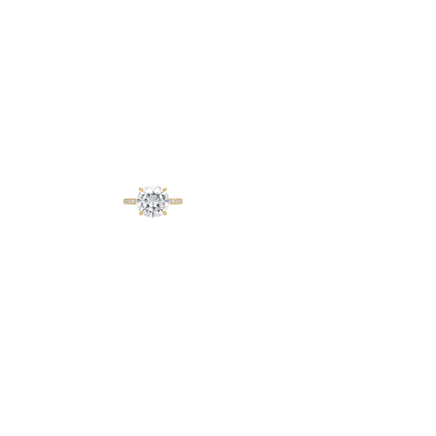 Ring on Hand