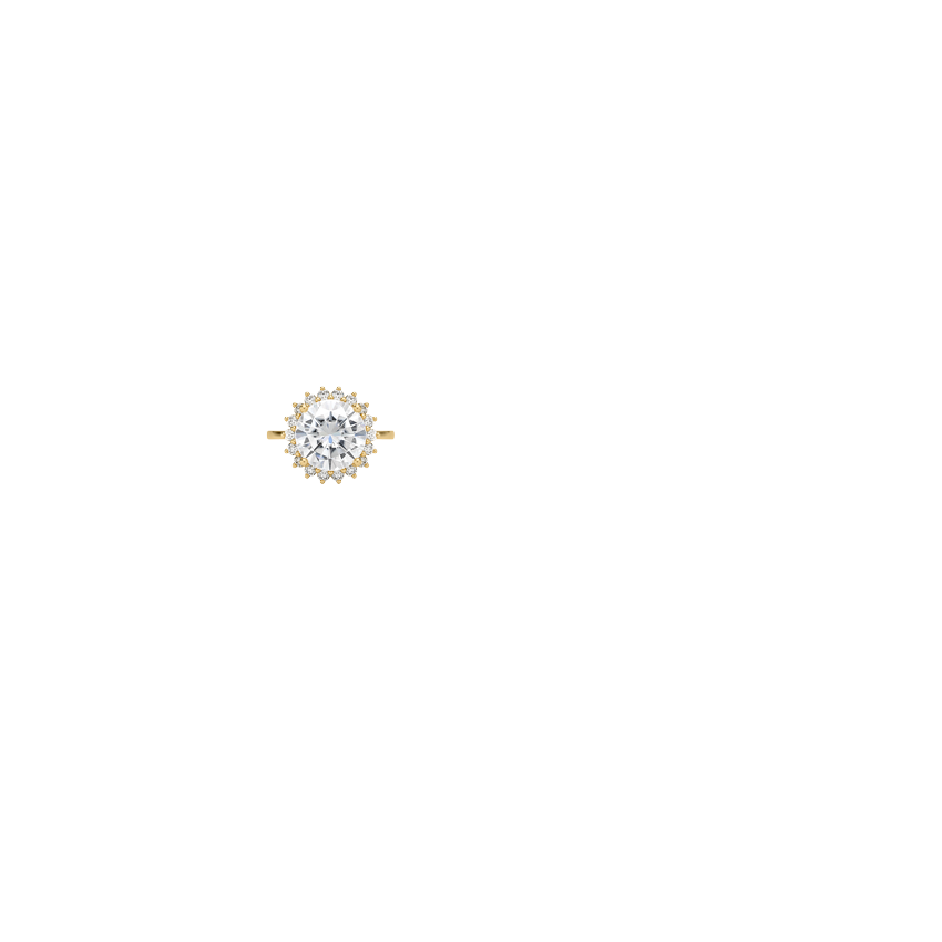 Ring on Hand