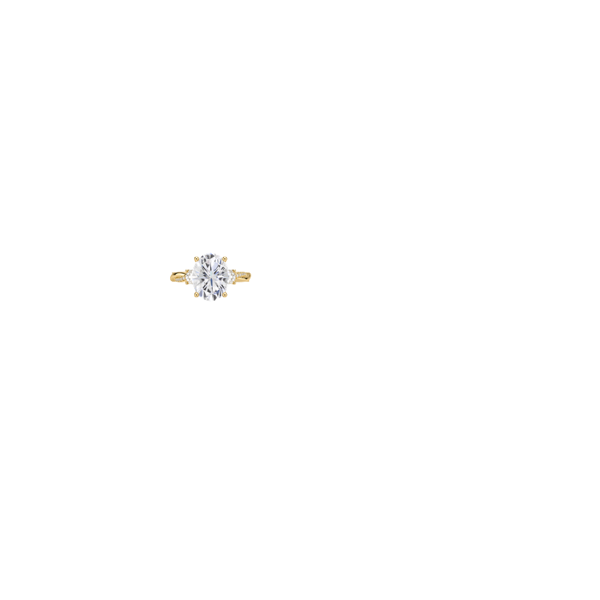 Ring on Hand