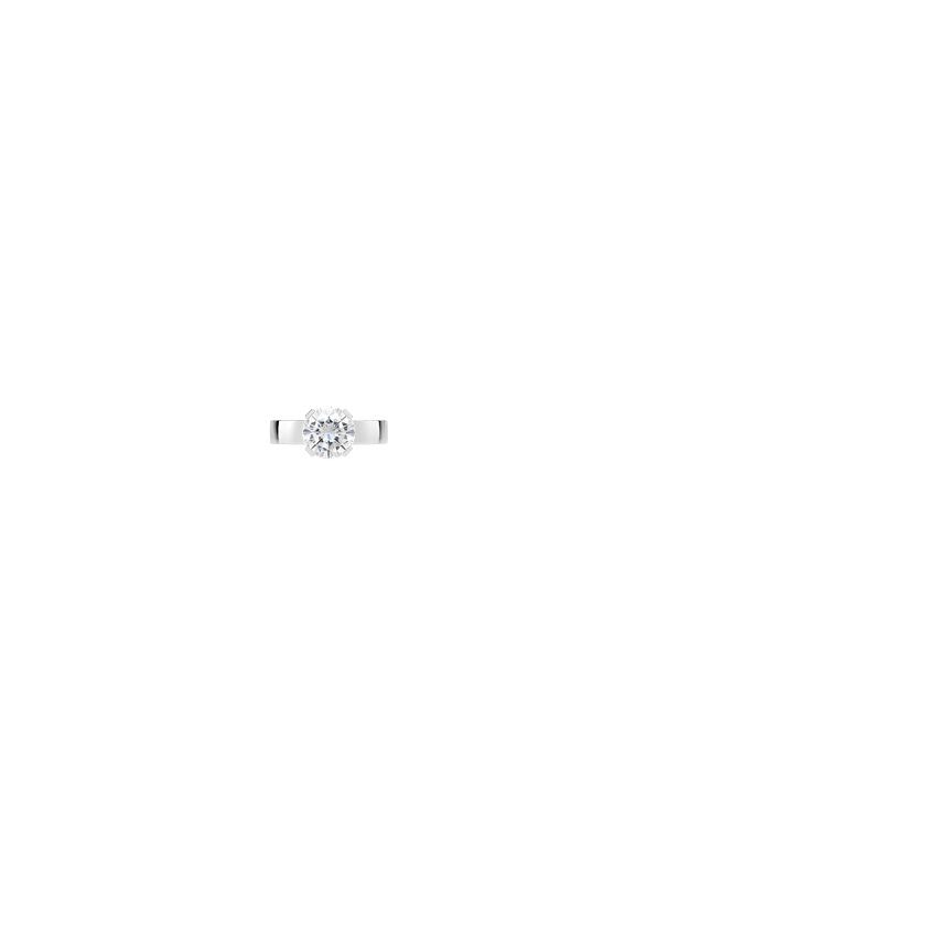 Ring on Hand