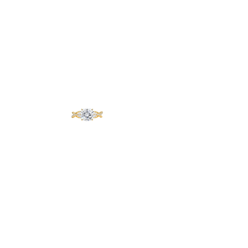 Ring on Hand