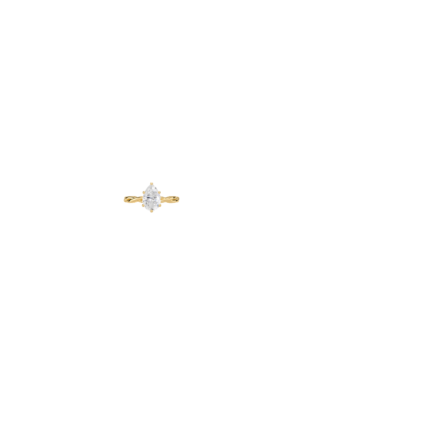 Ring on Hand