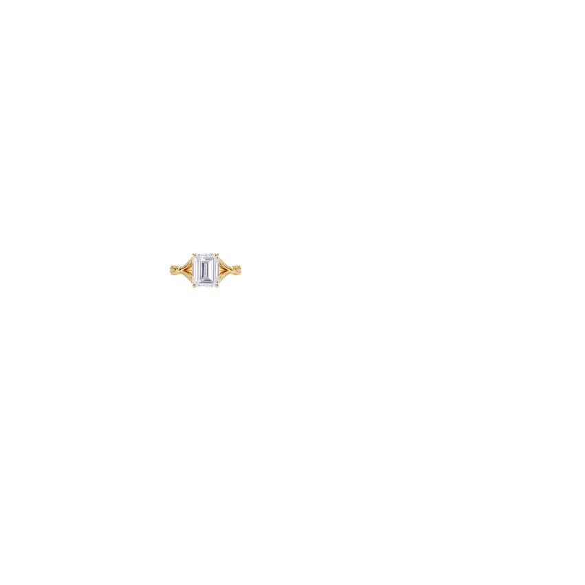 Ring on Hand