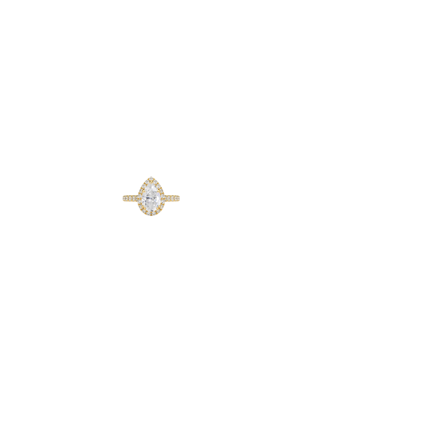 Ring on Hand