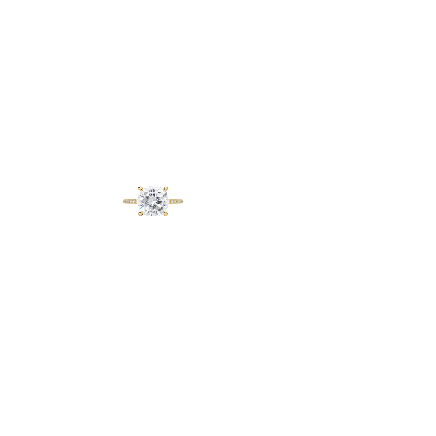 Ring on Hand