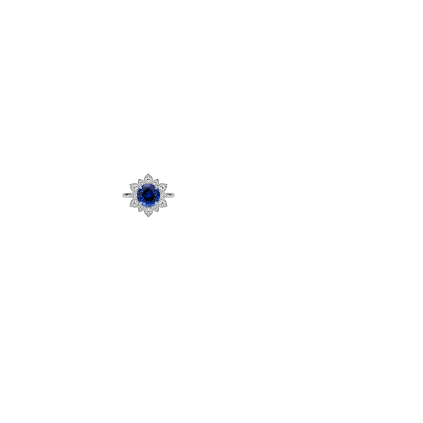 Ring on Hand