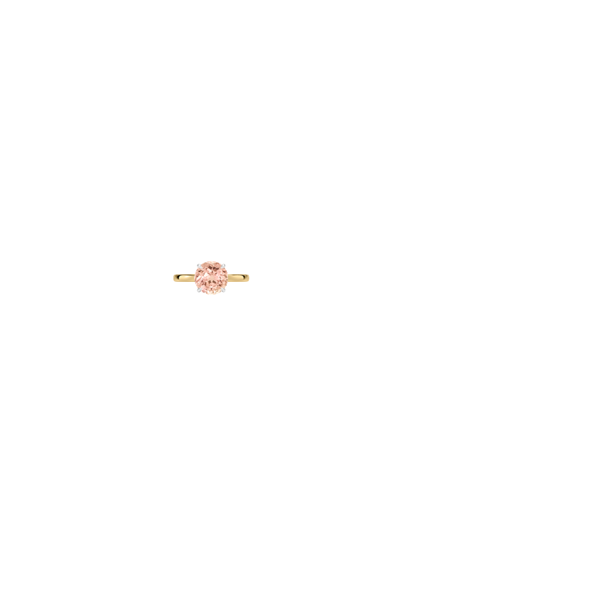 Ring on Hand