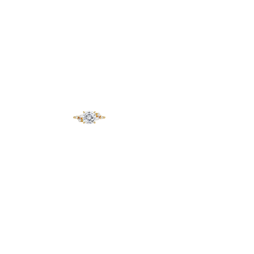 Ring on Hand